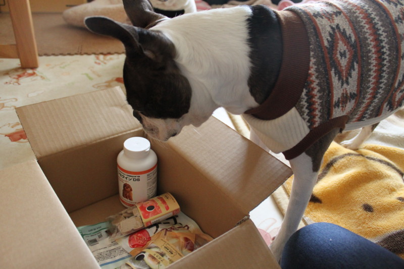 f:id:kokichikawabe:20130305135140j:image