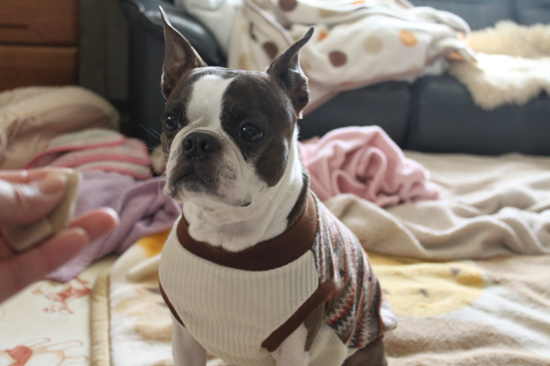 f:id:kokichikawabe:20130305135334j:image