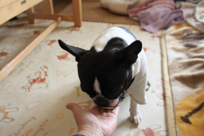 f:id:kokichikawabe:20130305135427j:image