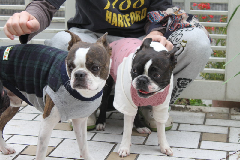 f:id:kokichikawabe:20130320103252j:image