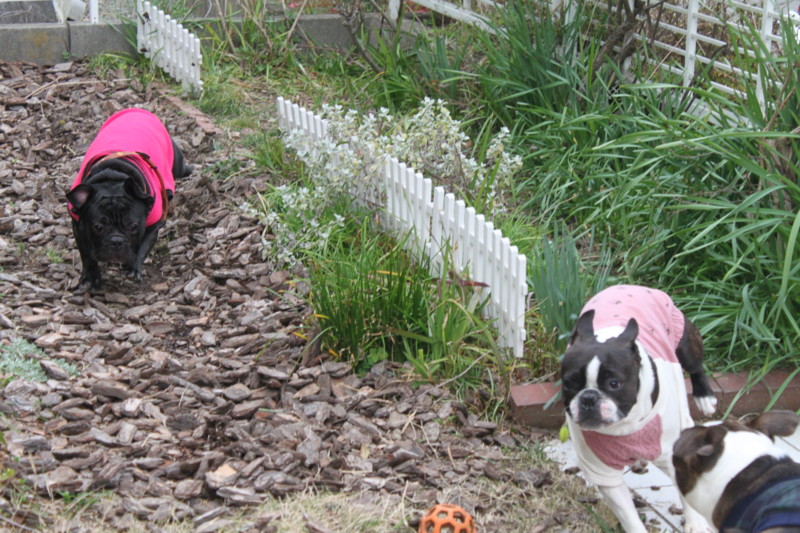 f:id:kokichikawabe:20130320105727j:image