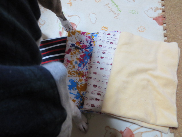 f:id:kokichikawabe:20130327161942j:image