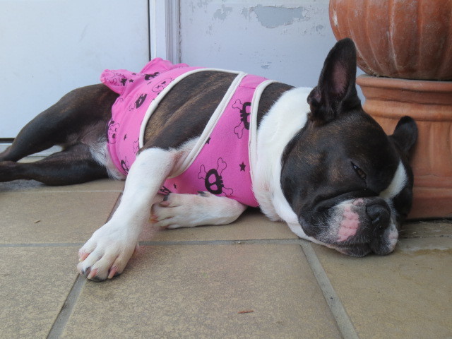 f:id:kokichikawabe:20130505133448j:image