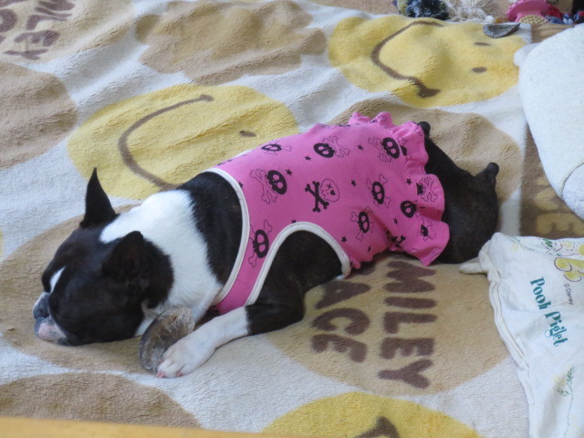 f:id:kokichikawabe:20130505140203j:image