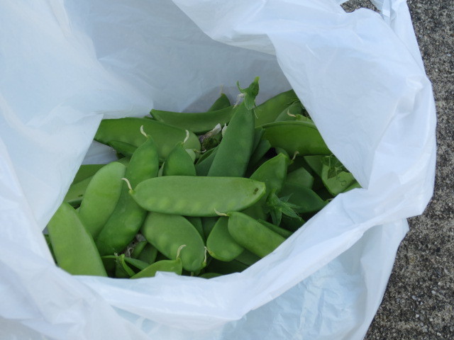 f:id:kokichikawabe:20130512082728j:image