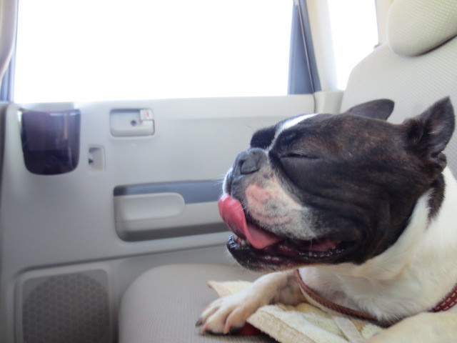 f:id:kokichikawabe:20130512102258j:image