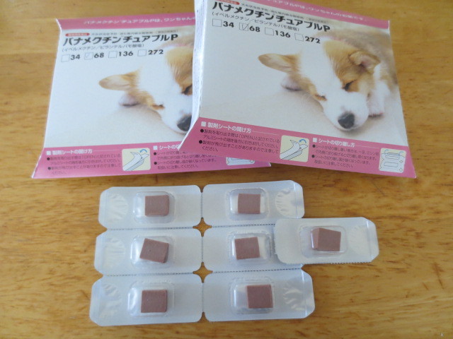 f:id:kokichikawabe:20130512124636j:image