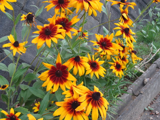 f:id:kokichikawabe:20130719062640j:image f:id:kokichikawabe:20130719062640j:image