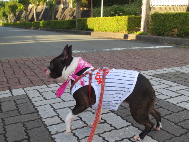 f:id:kokichikawabe:20130719062753j:image f:id:kokichikawabe:20130719062753j:image