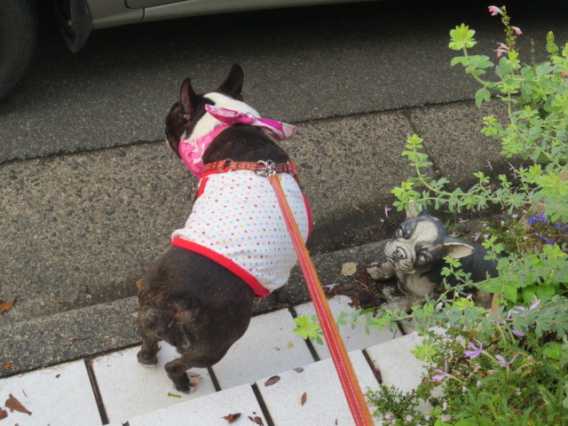 f:id:kokichikawabe:20130730063039j:image