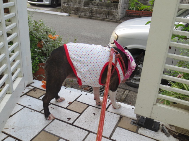 f:id:kokichikawabe:20130730063208j:image