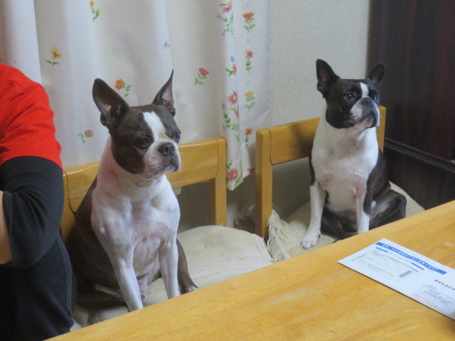 f:id:kokichikawabe:20150608080443j:image