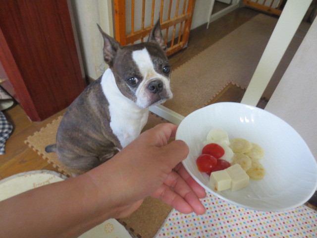 f:id:kokichikawabe:20150613092812j:image