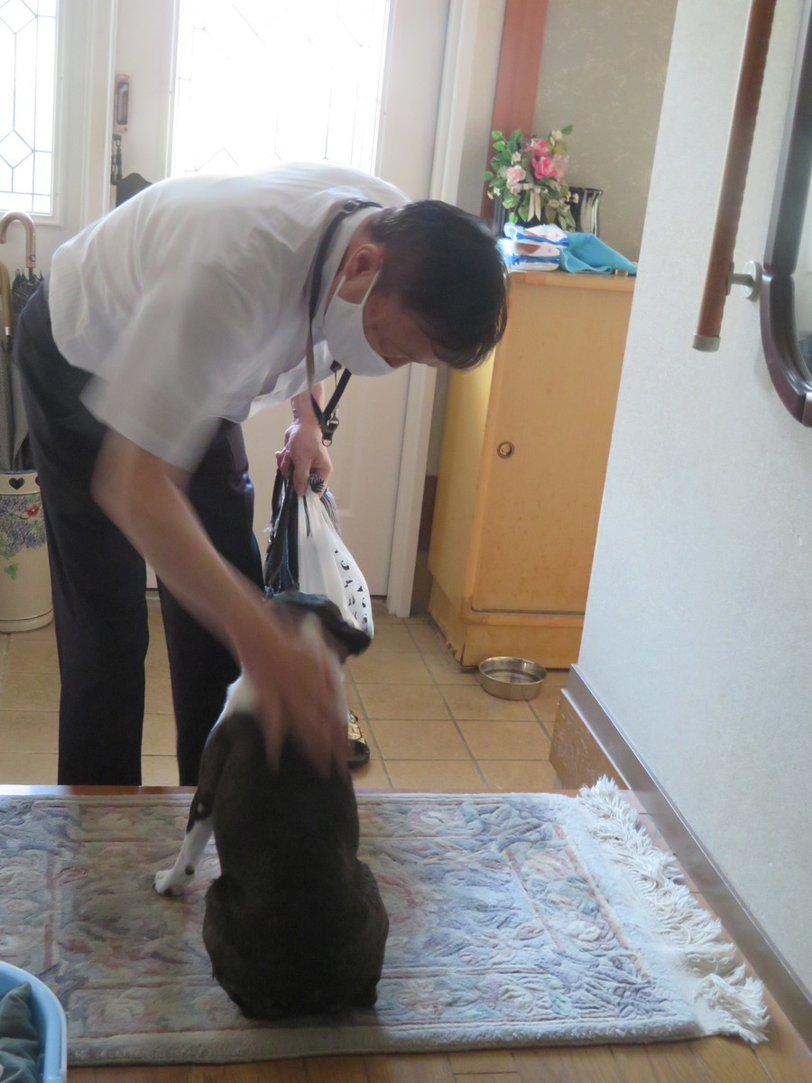 f:id:kokichikawabe:20200831063931j:plain f:id:kokichikawabe:20200831063931j:plain