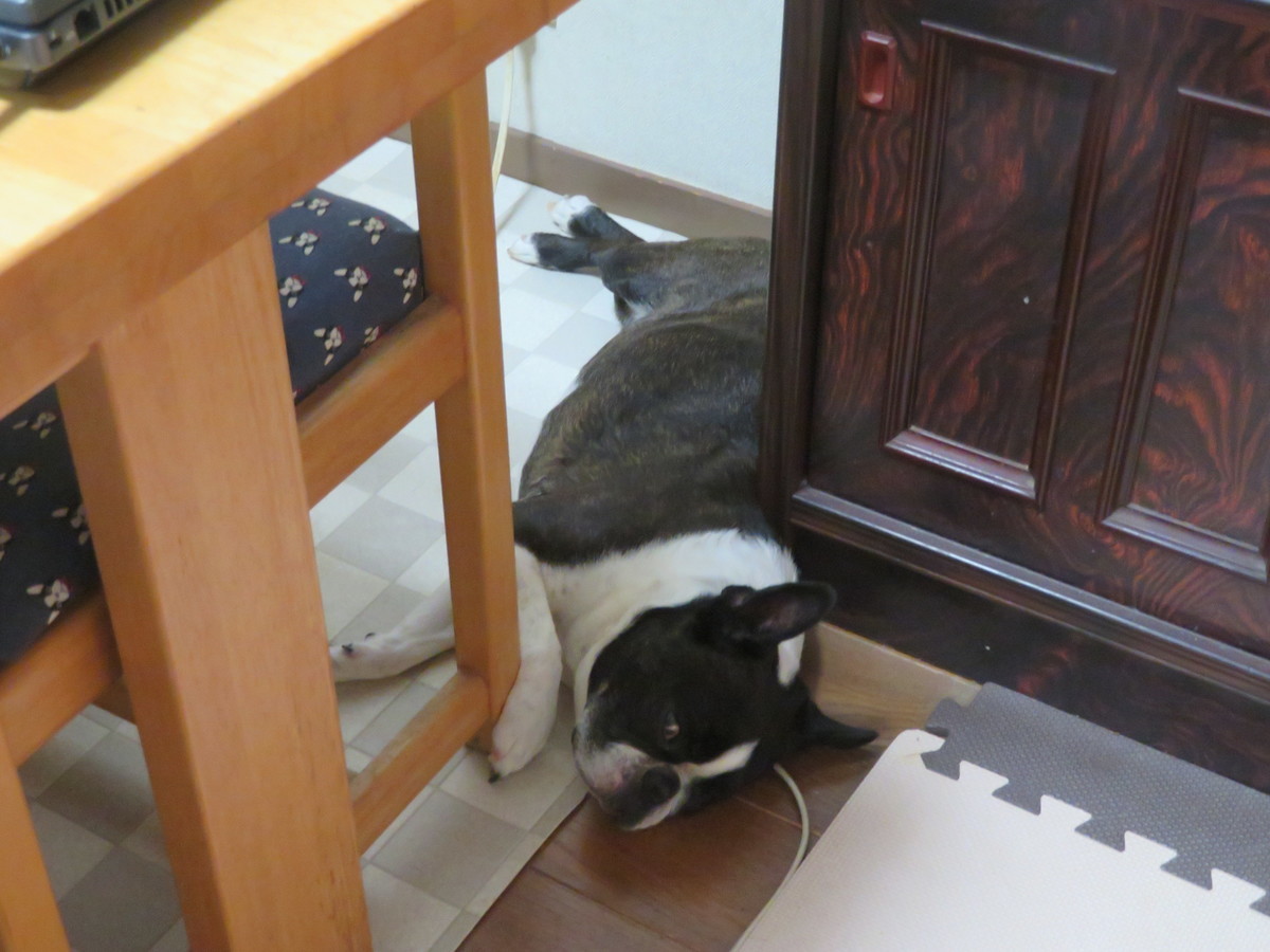 f:id:kokichikawabe:20200905070354j:plain f:id:kokichikawabe:20200905070354j:plain