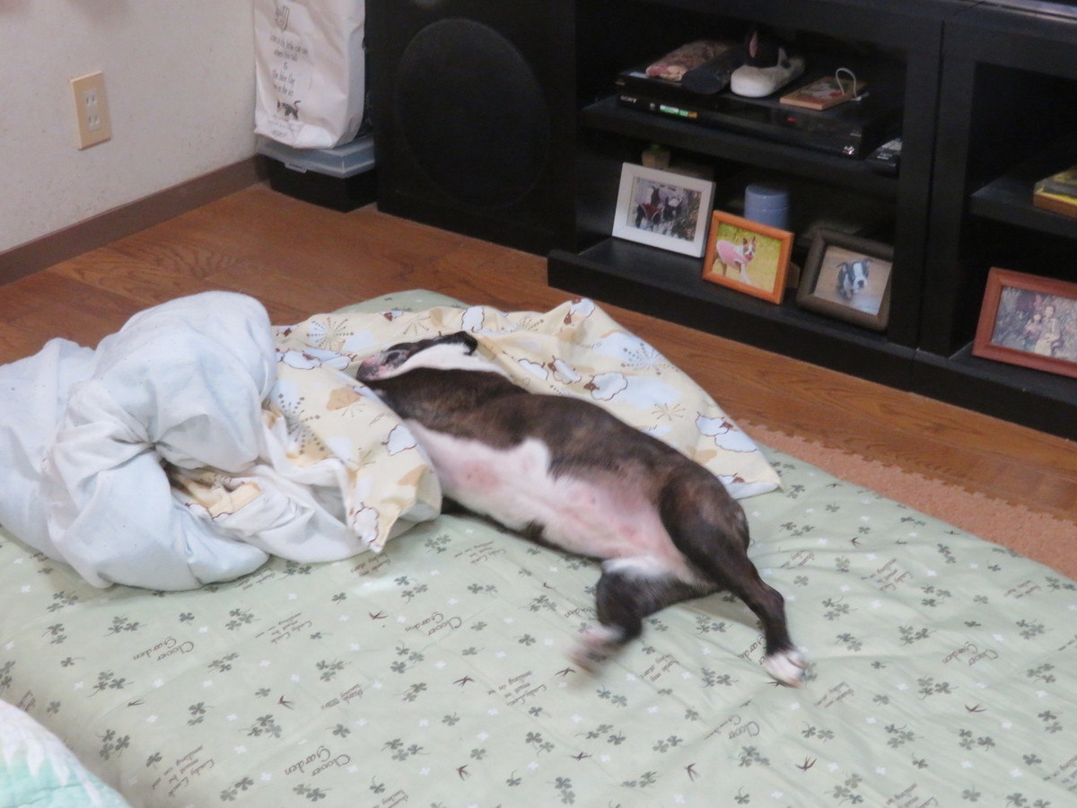 f:id:kokichikawabe:20200905080940j:plain f:id:kokichikawabe:20200905080940j:plain