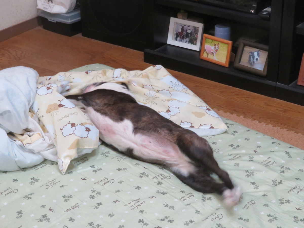 f:id:kokichikawabe:20200905080944j:plain f:id:kokichikawabe:20200905080944j:plain