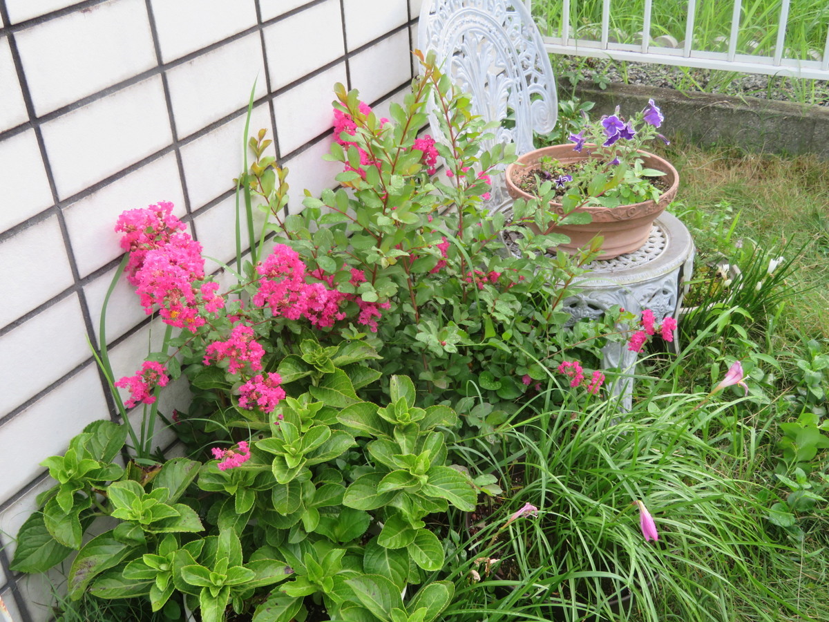f:id:kokichikawabe:20200922063214j:plain