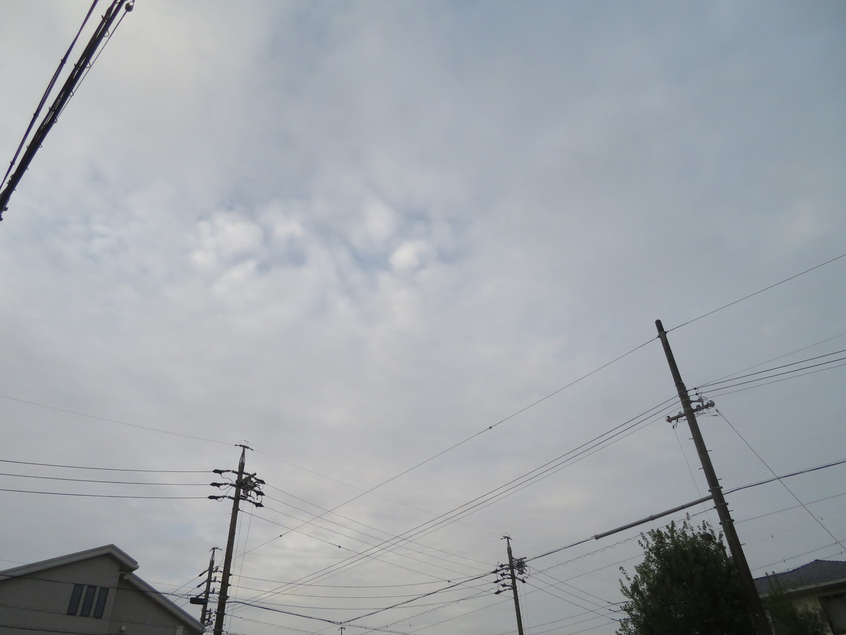 f:id:kokichikawabe:20200924061926j:plain