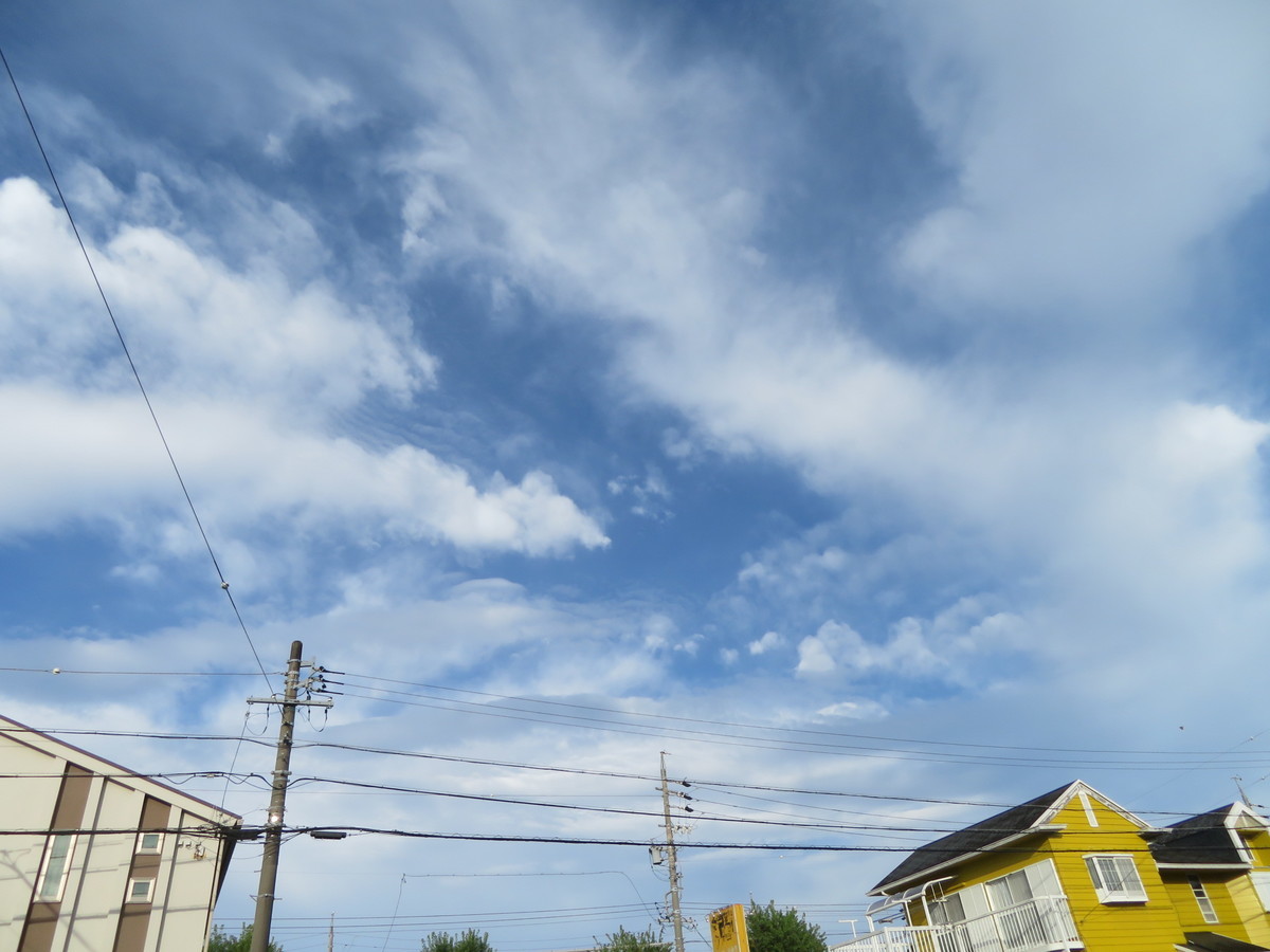 f:id:kokichikawabe:20200926070316j:plain