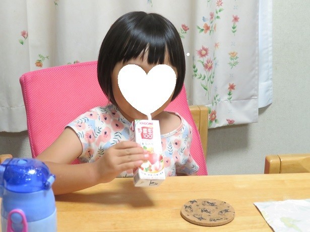 f:id:kokichikawabe:20200926131543j:plain