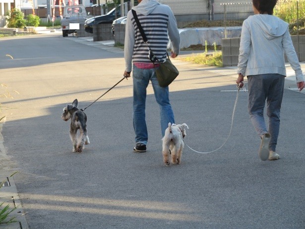 f:id:kokichikawabe:20200927064858j:plain f:id:kokichikawabe:20200927064858j:plain