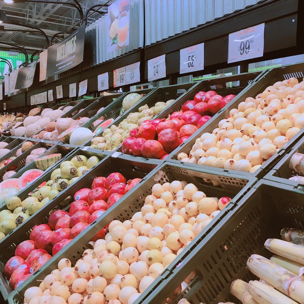 f:id:kokigramos:20190108191056j:plain f:id:kokigramos:20190108191056j:plain