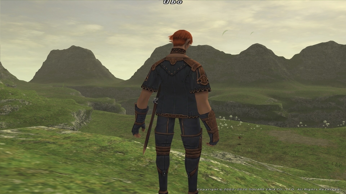 f:id:kokineko:20200520041728j:plain