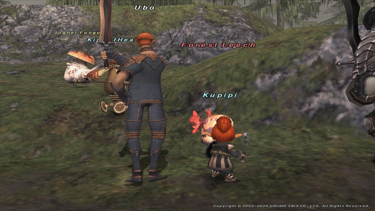 f:id:kokineko:20200520042942j:plain
