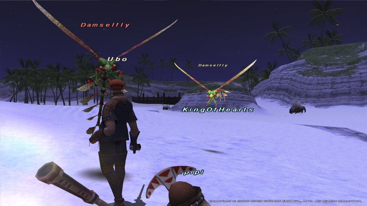 f:id:kokineko:20200520043817j:plain