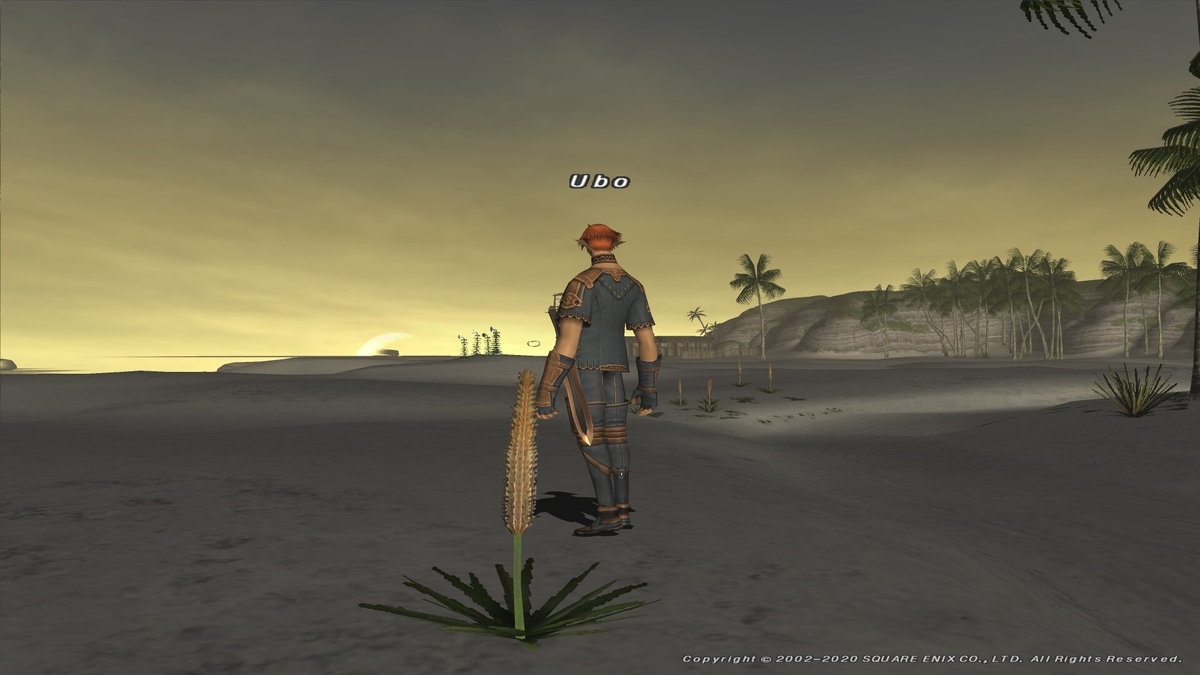 f:id:kokineko:20200520044450j:plain