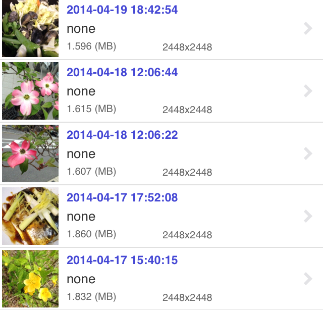 f:id:kokisin:20140420001055j:plain f:id:kokisin:20140420001055j:plain