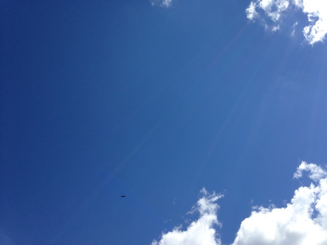 f:id:kokisin:20140919233606j:plain f:id:kokisin:20140919233606j:plain