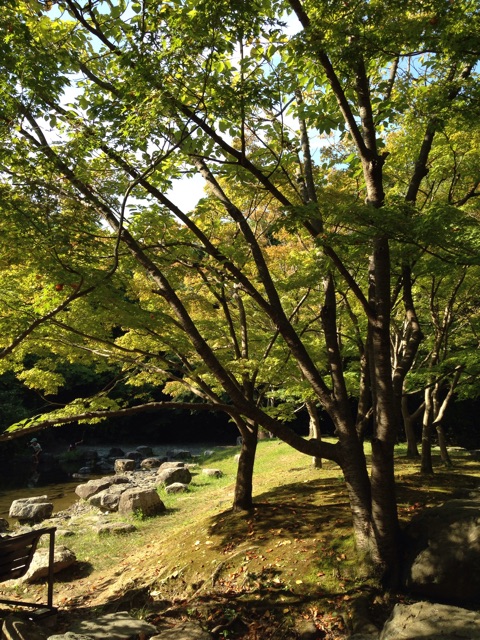 f:id:kokisin:20140926221006j:plain f:id:kokisin:20140926221006j:plain