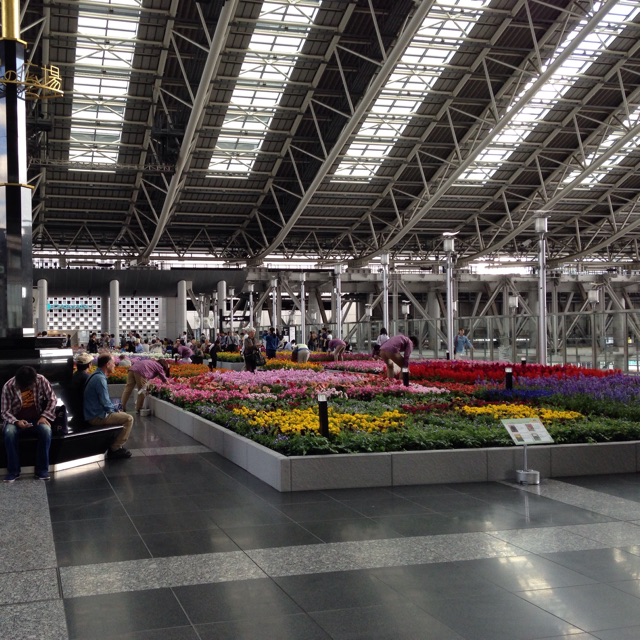 f:id:kokisin:20141008184226j:plain f:id:kokisin:20141008184226j:plain