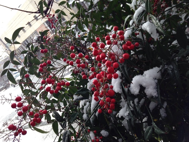 f:id:kokisin:20141220214802j:plain f:id:kokisin:20141220214802j:plain