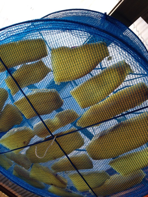 f:id:kokisin:20150118232630j:plain