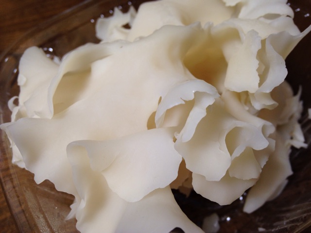 f:id:kokisin:20150313190654j:plain f:id:kokisin:20150313190654j:plain