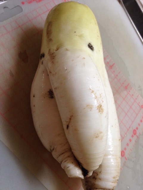 f:id:kokisin:20150313191017j:plain f:id:kokisin:20150313191017j:plain