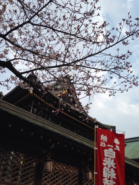 f:id:kokisin:20150329223419j:plain f:id:kokisin:20150329223419j:plain
