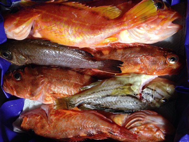 f:id:kokisin:20150407234159j:plain f:id:kokisin:20150407234159j:plain