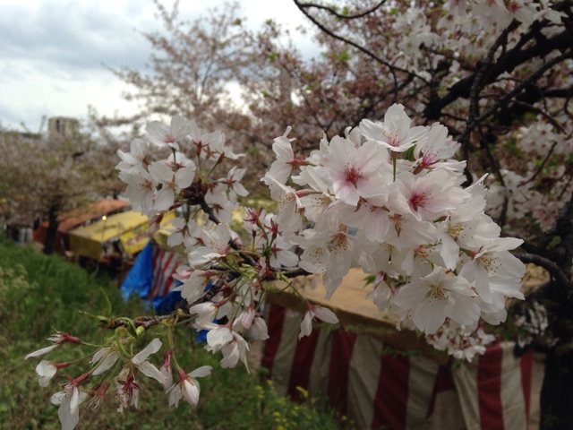 f:id:kokisin:20150412234907j:plain f:id:kokisin:20150412234907j:plain