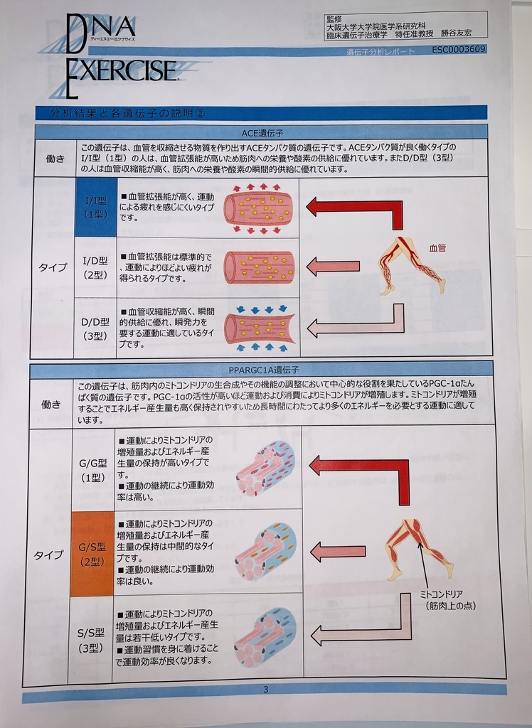 深淵が深遠しているブログ はてなブログ