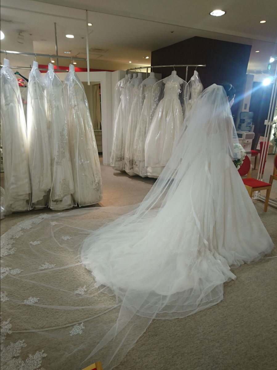 f:id:kokkoblog:20201206172553j:plain