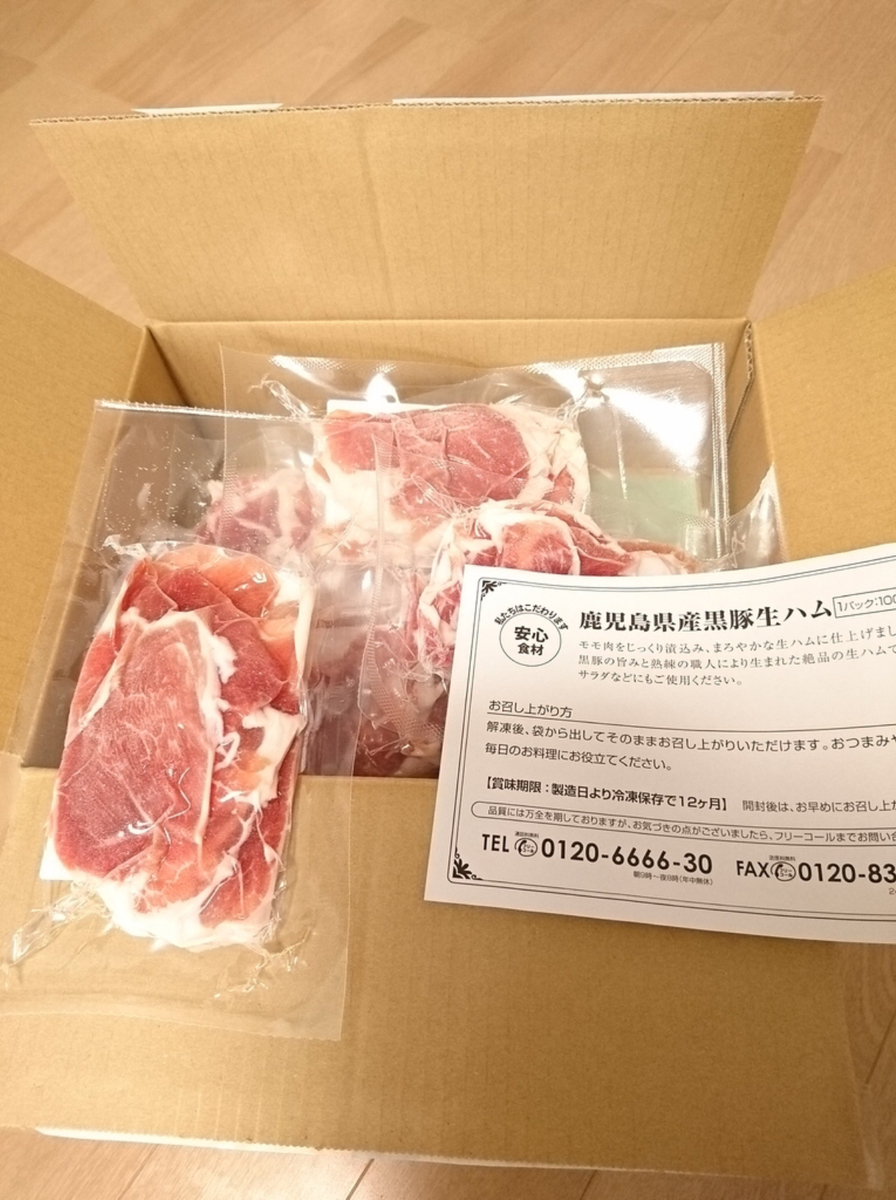 f:id:kokkoblog:20201207101458j:plain