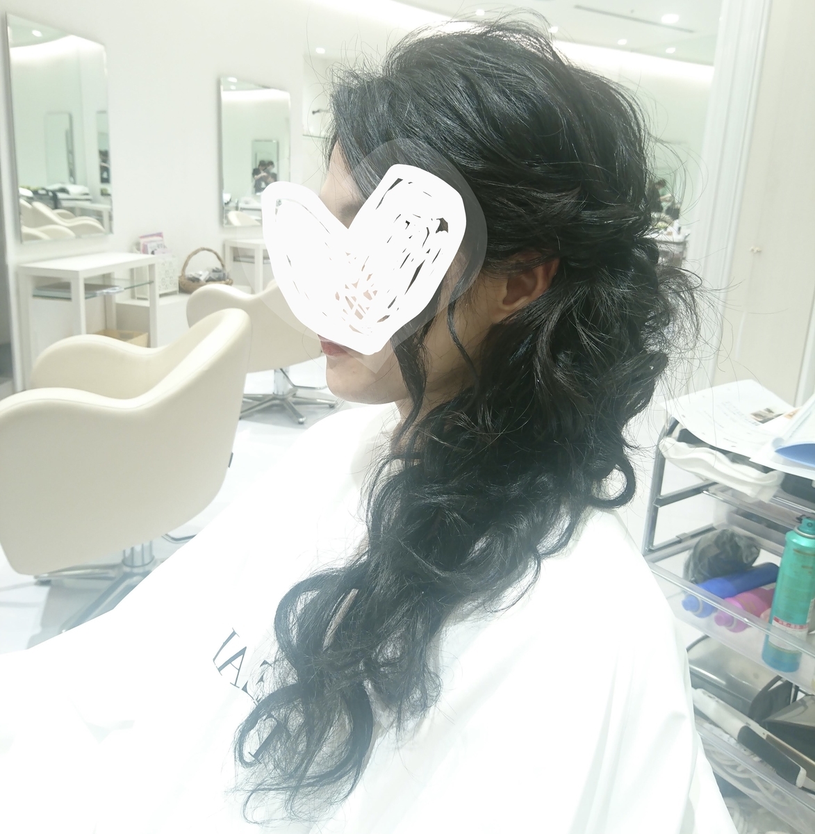 f:id:kokkoblog:20201213185849j:plain