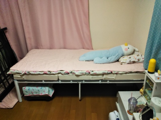f:id:kokkoco:20210509112925j:image