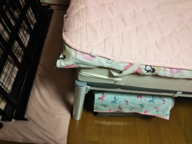 f:id:kokkoco:20210509112940j:image