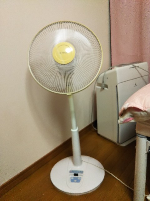 f:id:kokkoco:20210519205311j:image f:id:kokkoco:20210519205311j:image