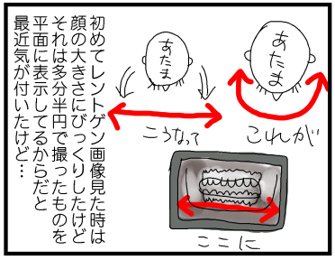 f:id:kokkoco:20210612223310p:plain